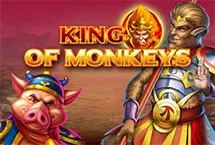 RTP Playngo overplay138